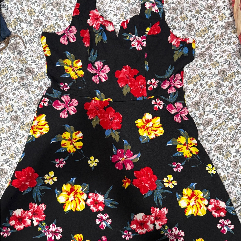 Planet Gold Black Floral Fit-and-Flare Dress with Red, Yellow & Pink Flowers